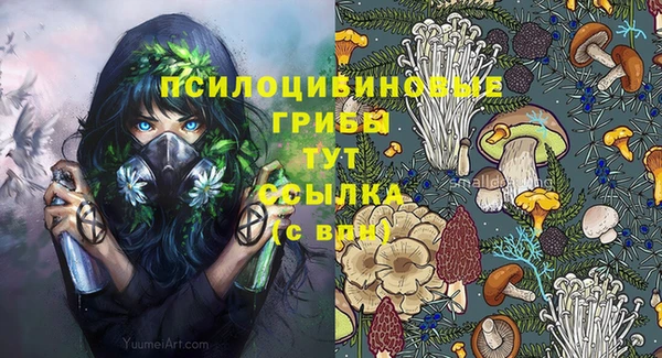 ГАЛЛЮЦИНОГЕННЫЕ ГРИБЫ Видное