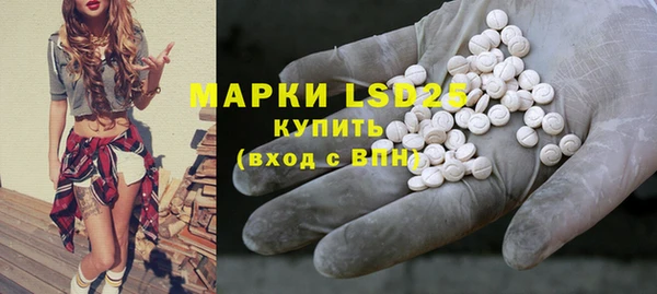 ГАЛЛЮЦИНОГЕННЫЕ ГРИБЫ Видное