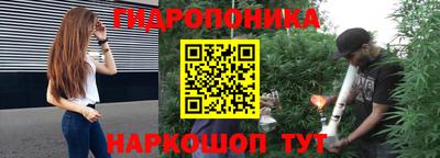 молекула духа Жуковский