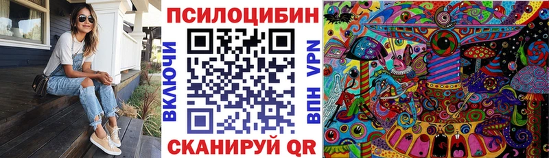 Псилоцибиновые грибы Psilocybine cubensis  Луховицы 