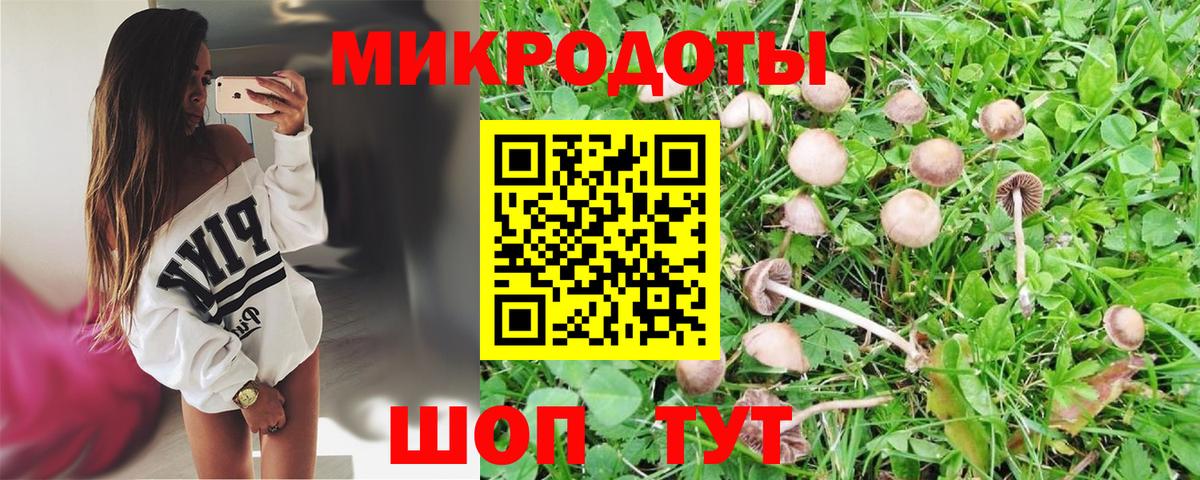 Псилоцибиновые грибы Psilocybine cubensis  Вход с VPN  Луховицы  Галлюциногенные грибы Magic Shrooms 