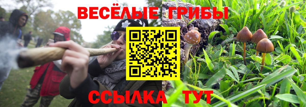 Галлюциногенные грибы прущие грибы Луховицы