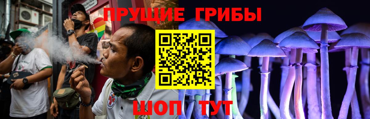 Псилоцибиновые грибы Psilocybe Луховицы